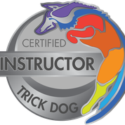 Certified Trick Dog Instructor